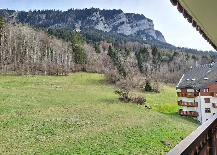 Ambiance Montagne Front De Neige
