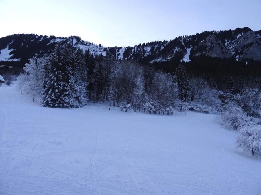 Appartamento Ambiance Montagne Front De Neige